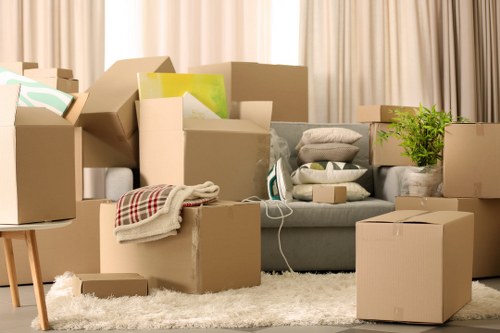 Boxes and household items prepared for man and van transport